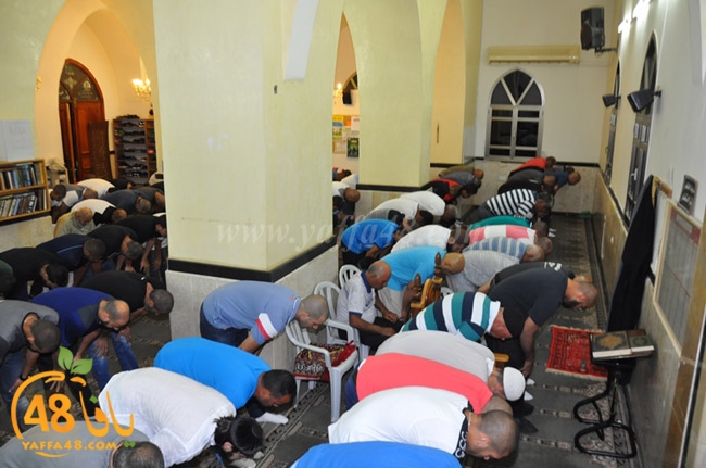 traw7 jabalayaua (16).JPG